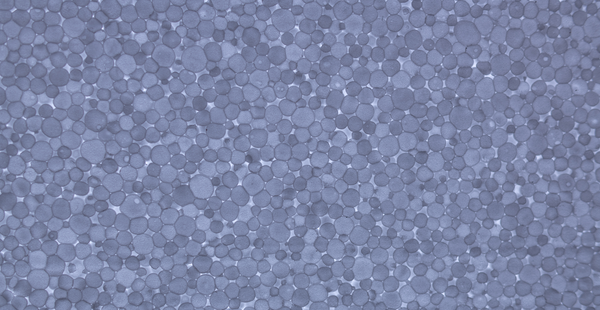 Complex pelvic pain with Maria Elliott