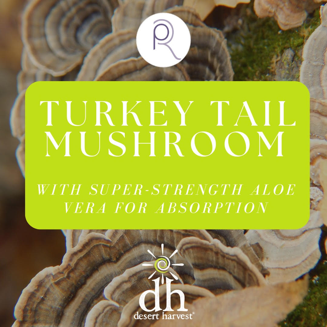 DESERT HARVEST TURKEY TAIL MUSHROOM