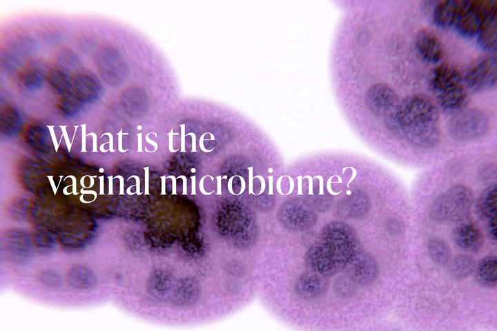 What is the vaginal microbiome?
