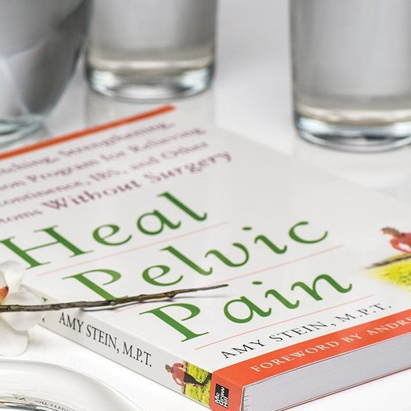 HEAL PELVIC PAIN<br> BY AMY STEIN